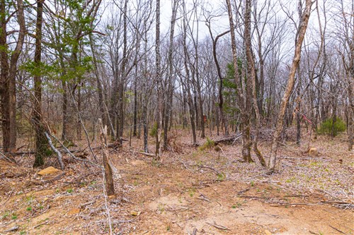 Reserves At Cattail Cove Phase I Tract 17