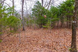 Reserves At Cattail Cove Phase I Tract 17