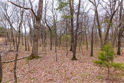 Reserves At Cattail Cove Phase I Tract 17