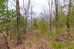 Reserves At Cattail Cove Phase I Tract 17