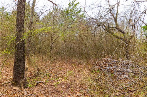 Reserves At Cattail Cove Phase I Tract 2