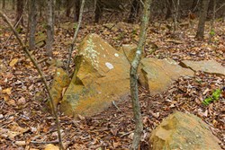 Reserves At Cattail Cove Phase I Tract 2