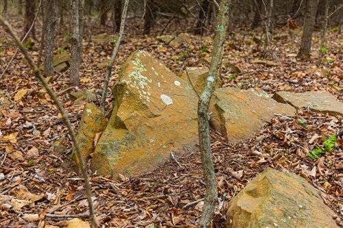 Reserves At Cattail Cove Phase I Tract 2