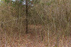 Reserves At Cattail Cove Phase I Tract 2