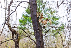 Reserves At Cattail Cove Phase I Tract 2