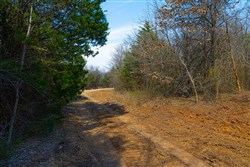 Reserves At Cattail Cove Phase I Tract 24