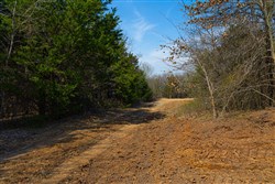 Reserves At Cattail Cove Phase I Tract 24