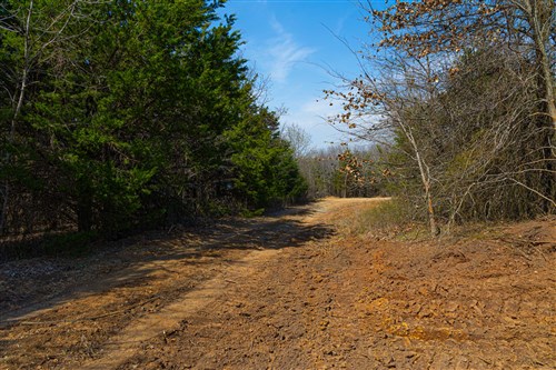 Reserves At Cattail Cove Phase I Tract 24