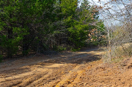Reserves At Cattail Cove Phase I Tract 24