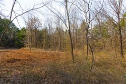 Reserves At Cattail Cove Phase I Tract 24