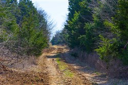 Reserves At Cattail Cove Phase I Tract 25