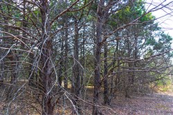 Reserves At Cattail Cove Phase I Tract 25