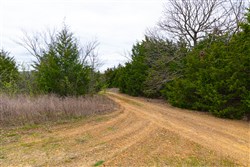 Reserves At Cattail Cove Phase I Tract 26