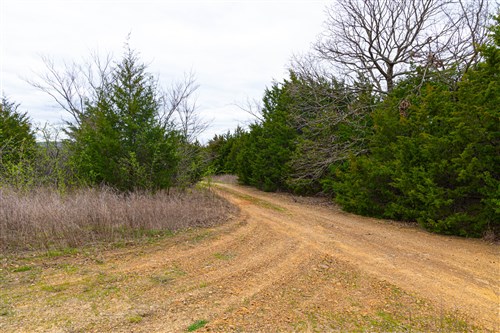 Reserves At Cattail Cove Phase I Tract 26