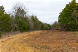 Reserves At Cattail Cove Phase I Tract 26