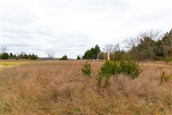 Reserves At Cattail Cove Phase I Tract 26