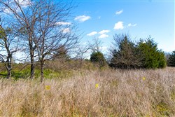 Reserves At Cattail Cove Phase I Tract 27