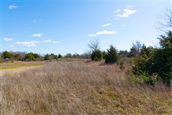 Reserves At Cattail Cove Phase I Tract 27
