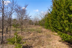 Reserves At Cattail Cove Phase I Tract 28