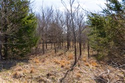 Reserves At Cattail Cove Phase I Tract 28