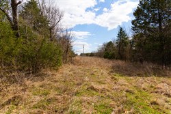 Reserves At Cattail Cove Phase I Tract 29