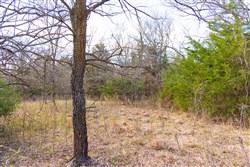 Reserves At Cattail Cove Phase I Tract 29