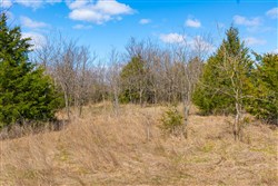 Reserves At Cattail Cove Phase I Tract 29