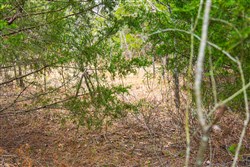 Reserves At Cattail Cove Phase I Tract 3