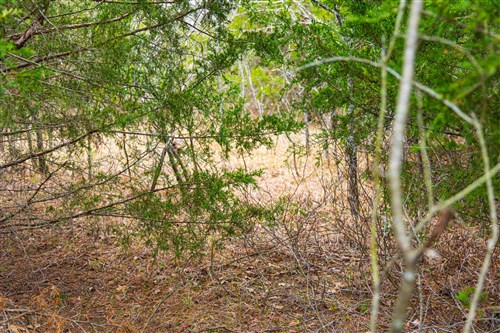 Reserves At Cattail Cove Phase I Tract 3