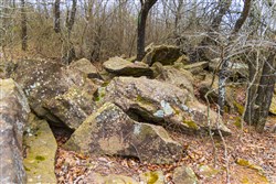Reserves At Cattail Cove Phase I Tract 3