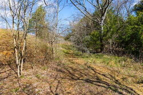 Reserves At Cattail Cove Phase I Tract 33