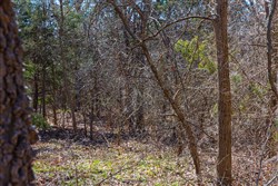 Reserves At Cattail Cove Phase I Tract 33