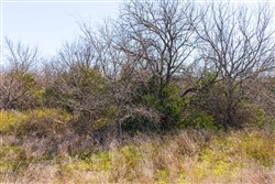 Reserves At Cattail Cove Phase I Tract 33