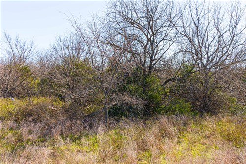 Reserves At Cattail Cove Phase I Tract 33