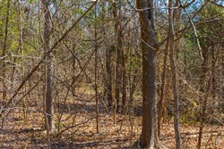 Reserves At Cattail Cove Phase I Tract 33
