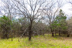 Reserves At Cattail Cove Phase I Tract 34