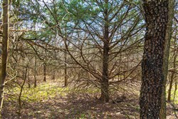 Reserves At Cattail Cove Phase I Tract 34