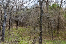 Reserves At Cattail Cove Phase I Tract 34