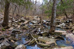 Reserves At Cattail Cove Phase I Tract 4