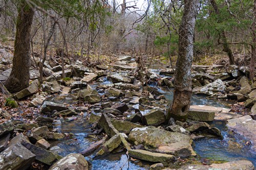 Reserves At Cattail Cove Phase I Tract 4