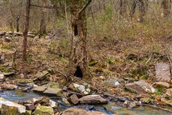 Reserves At Cattail Cove Phase I Tract 4