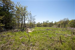 property photo for Eagles Nest Ranch Tract 1, 5.82 acres for sale in Pushmataha County, Oklahoma