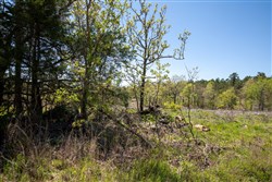 property photo for Eagles Nest Ranch Tract 1, 5.82 acres for sale in Pushmataha County, Oklahoma
