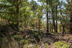property photo for Eagles Nest Ranch Tract 1, 5.82 acres for sale in Pushmataha County, Oklahoma