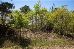 property photo for Eagles Nest Ranch Tract 1, 5.82 acres for sale in Pushmataha County, Oklahoma
