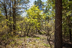 property photo for Eagles Nest Ranch Tract 1, 5.82 acres for sale in Pushmataha County, Oklahoma