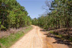 property photo for Eagles Nest Ranch Tract 10, 8 acres for sale in Pushmataha County, Oklahoma
