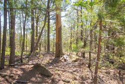 property photo for Eagles Nest Ranch Tract 10, 8 acres for sale in Pushmataha County, Oklahoma