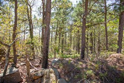 property photo for Eagles Nest Ranch Tract 10, 8 acres for sale in Pushmataha County, Oklahoma