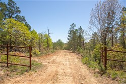 property photo for Eagles Nest Ranch Tract 10, 8 acres for sale in Pushmataha County, Oklahoma